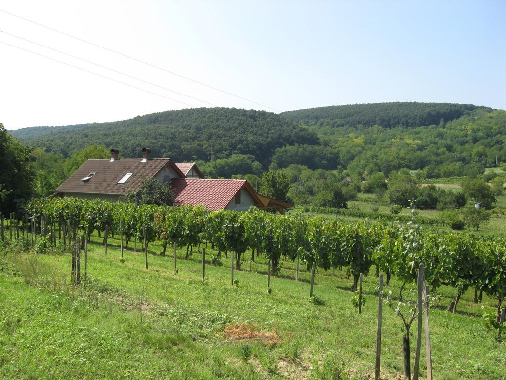 Balatonlelle-Kishegy Apartment Cameră foto